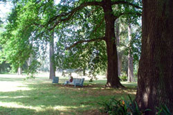 Estancia la Oriental - Estancias Argentinas