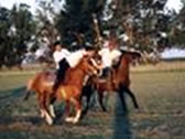 Estancias Argentinas