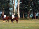 Estancias Argentinas